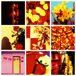 aesthetic red yellow bright moodboard aestheticcollage aesthetics aestheticmoodboard background light redaesthetic yellowaesthetic redandyellow redandyellowaesthetic yellowandred yellowandredaestgetic freetoedit