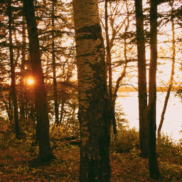 goldenhour lakeview travel fallmood fallcolors sunset mood autumn pcgoldenhour
