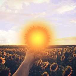 freetoedit sun sky sunflowers clouds hand