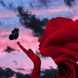 freetoedit girl rose redrose🌹 silhouette redrose
