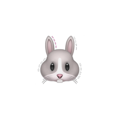 bunny complex niche rabbit httpslani plutoknights anime blink lovesickgirls blackpink jennieblackpink jisooblackpink roseblackpink lisablackpink freetoedit