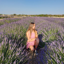 lavender purple flower beautifulday mee freetoedit