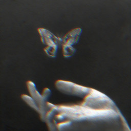 aesthetic hands handsilhouette butterfly blackandwhite freetoedit