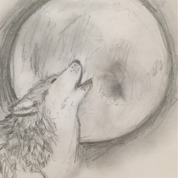 wolf moon drawmore