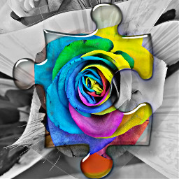 freetoedit puzzleeffect raimbowcolors rosas🌹 rosas srcpuzzlepieces puzzlepieces