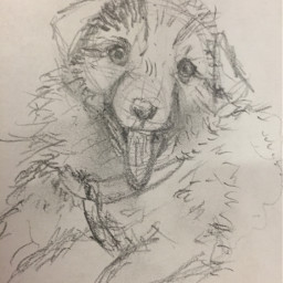 dog drawing drawmore