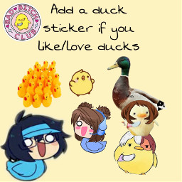 duck freetoedit