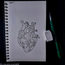 heart feelings ink inktober black pincel nootbok dark drawing art myart realty paper style artistic hopeyoulikeit freetoedit