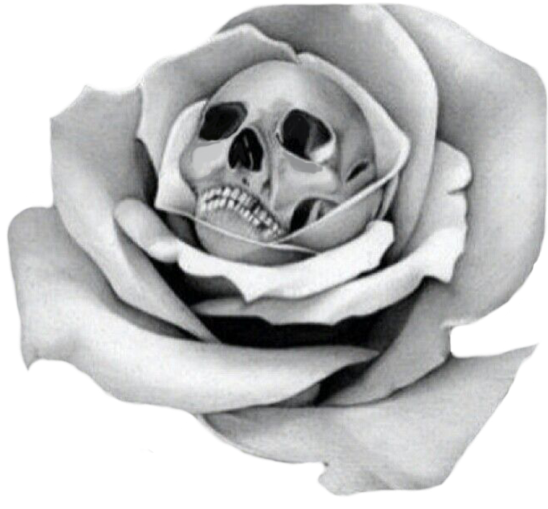 skull rose flower tattoo blackandwhite sticker by icygnus