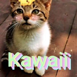 mascotas kawai anime pokemo pikachu freetoedit