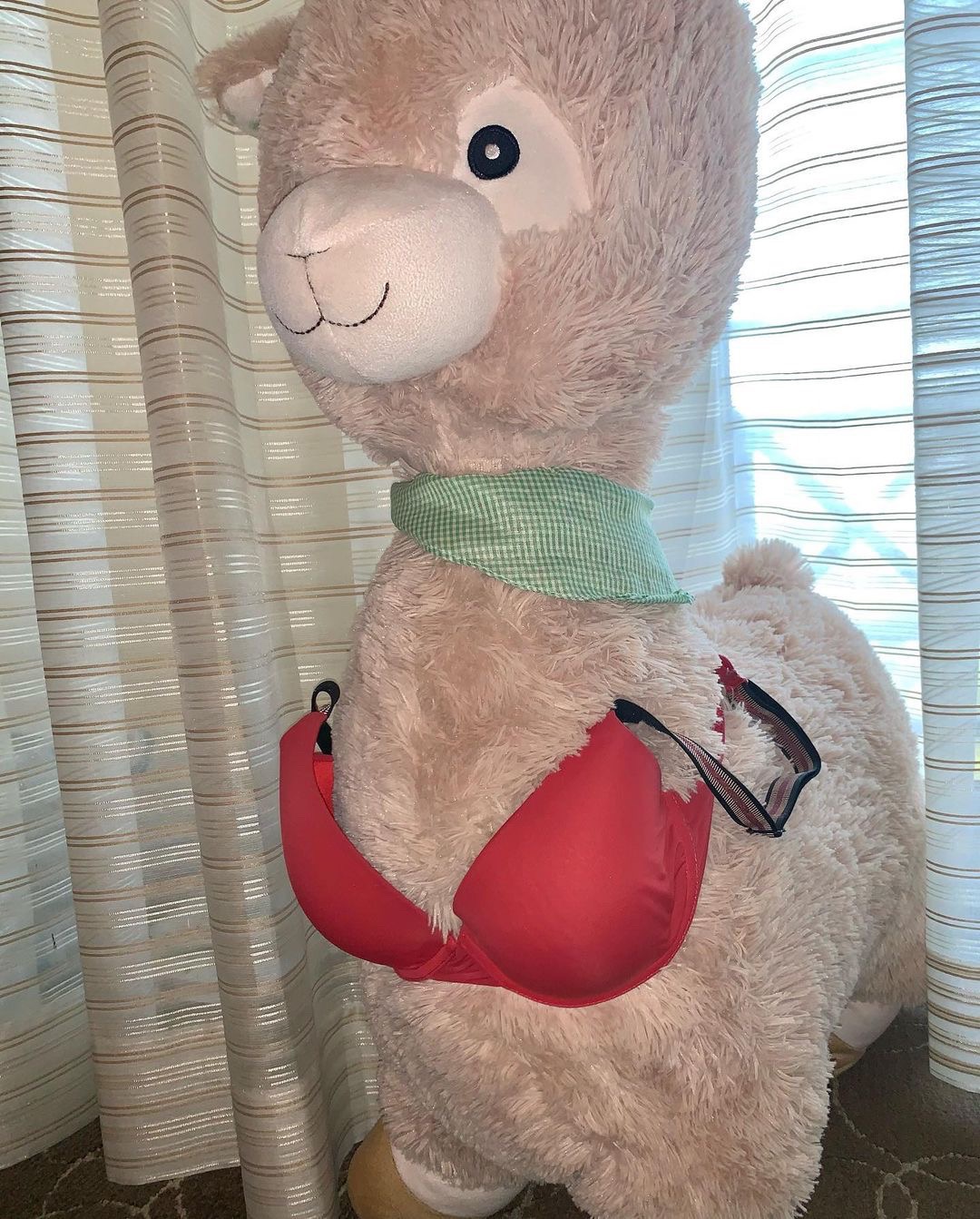 bella poarch alpaca plush