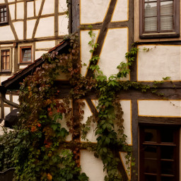 michelstadt oldtown historicalplaces timberframed house
