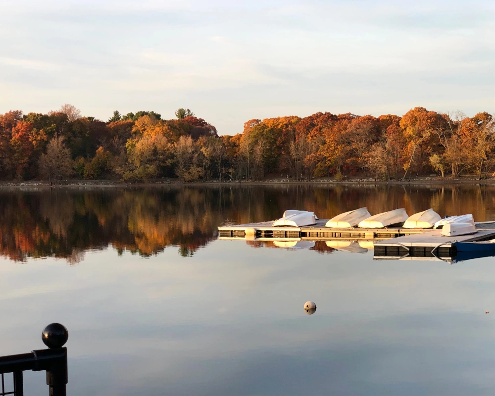 #reflection #goldenhour #pond #boats