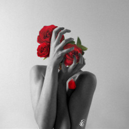 aesthetic rosas rose rojo red woman notheat freetoedit
