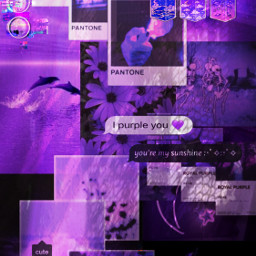 purple purpleaesthetic backgroundaesthetic wallpaper wallpaperedit purplewallpaper purplebackground freetoedit