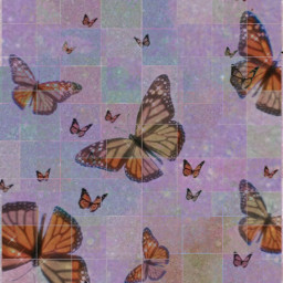 freetoedit backgroundedit butterfly aestheticbackground aesthetic