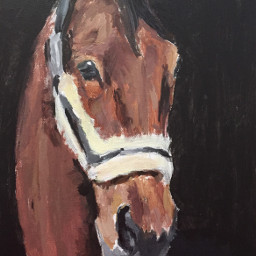 horse painting drawmore merrychristmas dollarisking
