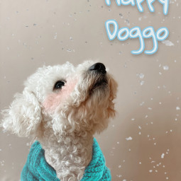 happy doggo challengeaccepted goodluck freetoedit ircpuppydogeyes puppydogeyes