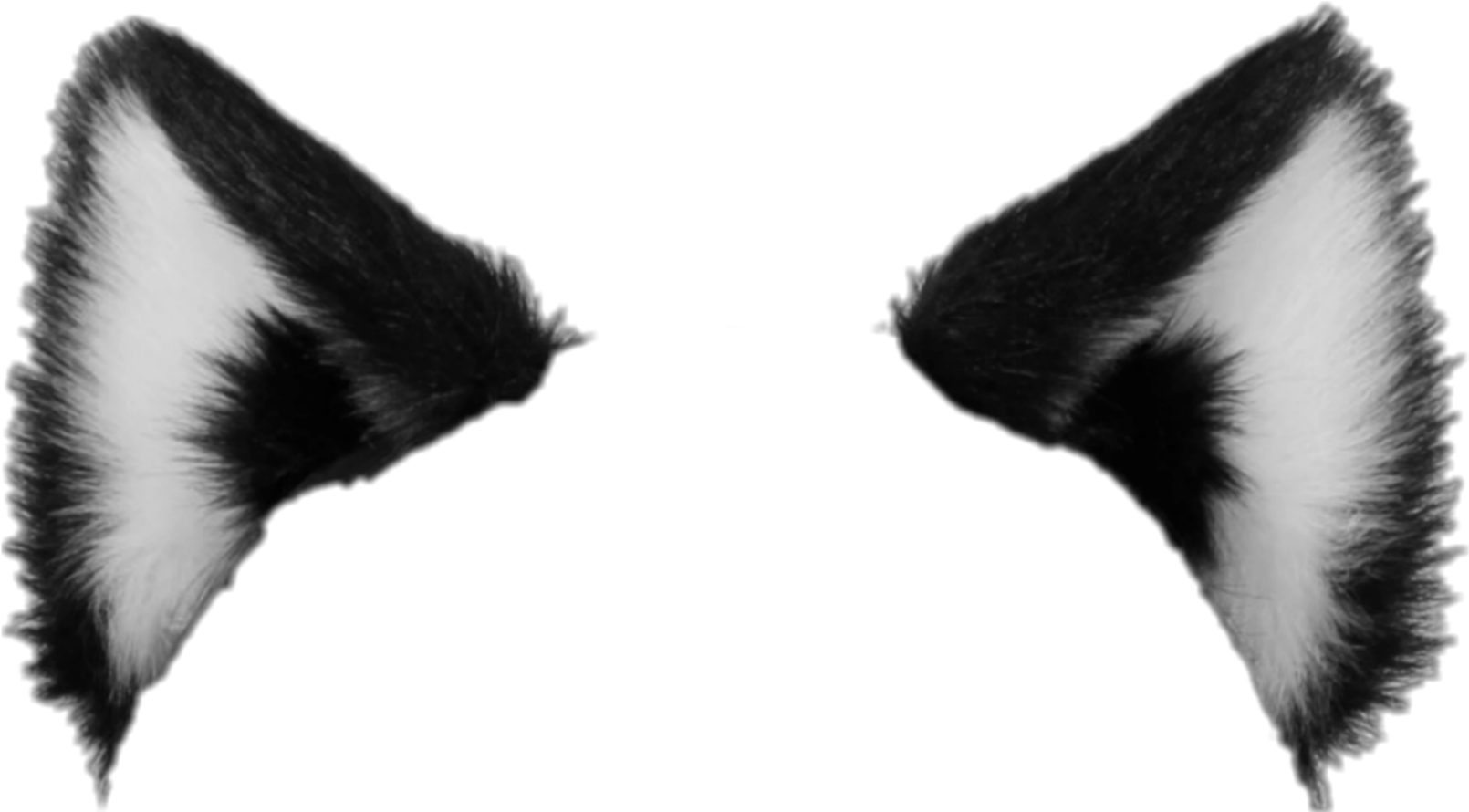 freetoedit-cat-catears-blackandwhite-ears-sticker-by-jenxiu
