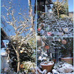 myphotography myhome collage snow newyear'seve newyear