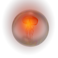 jellyfish red light bubble freetoedit