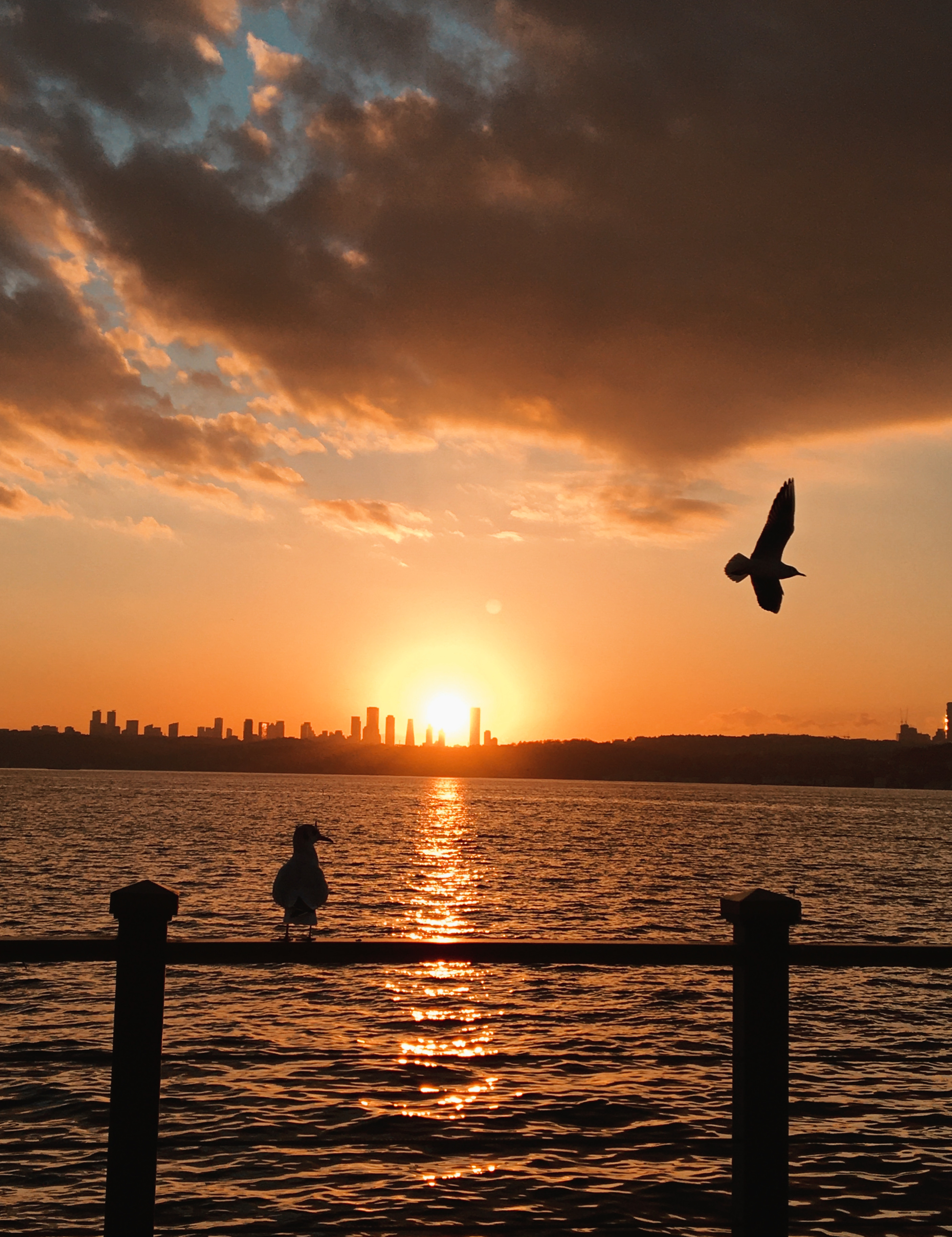 Beautiful sky ❤️ #photography #photographer #nature #sky #sun #sunset #followme #travel #traveller #fotografia #istanbul #turkey #beach #picsart #birds #a