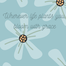 quote flower canva phonewallpaper