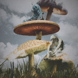 surreal surrealdesing surrealart surrealistic aesthetic tumblr vaporwave aliceinwonderland toad garden sky clouds surrealworld space fanartofkai wattpadcover freetoedit