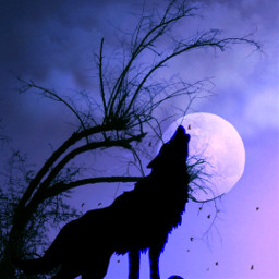 wolfhowling night cool interesting freetoedit
