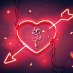 ledlight heart rose