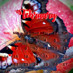 butterfly apple calendar february freetoedit srcfebruarycalendar2021 februarycalendar2021