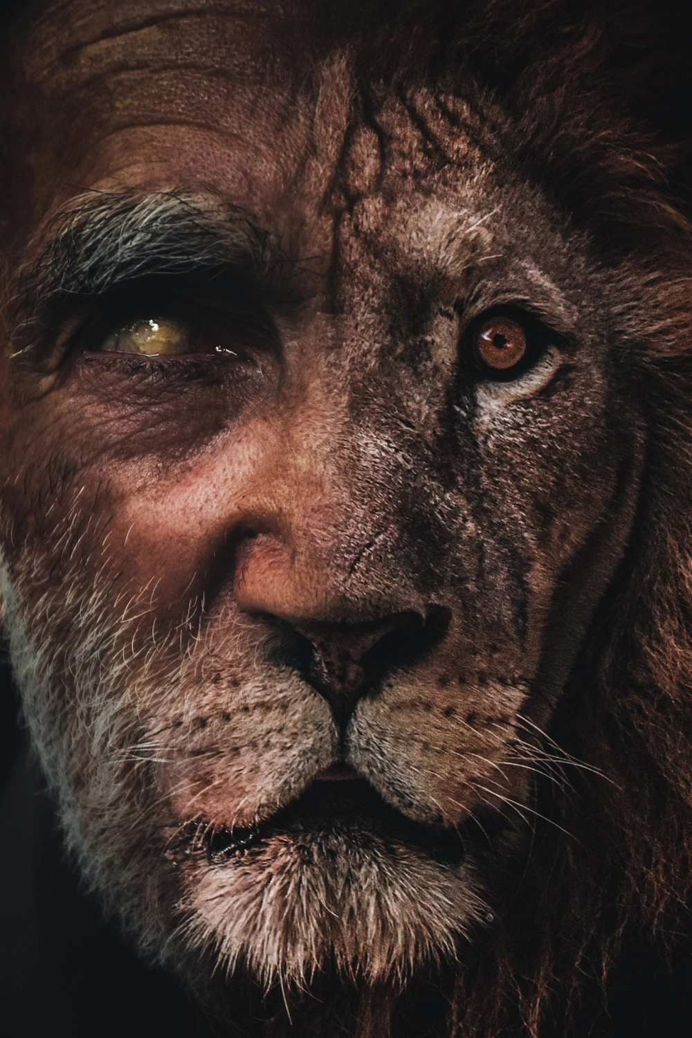 #lion #man #transformation @picsart