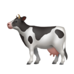 cow freetoedit