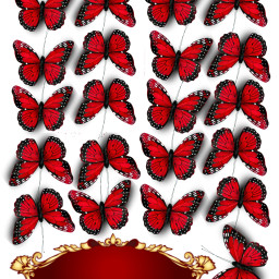freetoedit butterflies🦋 butterflies
