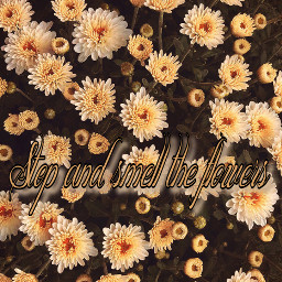stopandsmelltheflowers stop and smell the flowers flower yellow green pastel backgrounds wallpapers wallpaper background spring april showers bring may aprilshowersbringmayflowers i imback blm loveyourself freetoedit