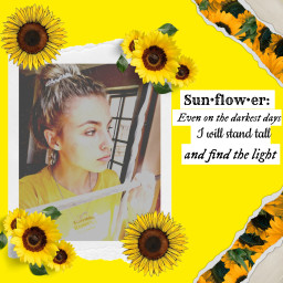 sunflower sunflowerselfie sunflowertheme nature beauty