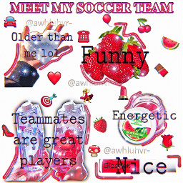 nicheedit niche edit newaccount new account soccerteam soccer red