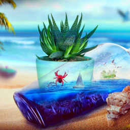 beautiful tropical beach colorful flowing art blue teal aqua green tan brown orange seashells palmtrees freetoedit ircdesignthevase designthevase