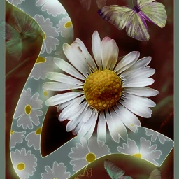 mural painting flower roses butterfly spring freetoedit ecspringaesthetic springaesthetic