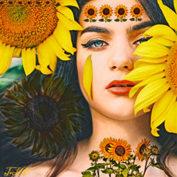 beautiful woman sunflowers colorful yellow gold green brown black tan blue orange peach freetoedit srcbrightsunflowers