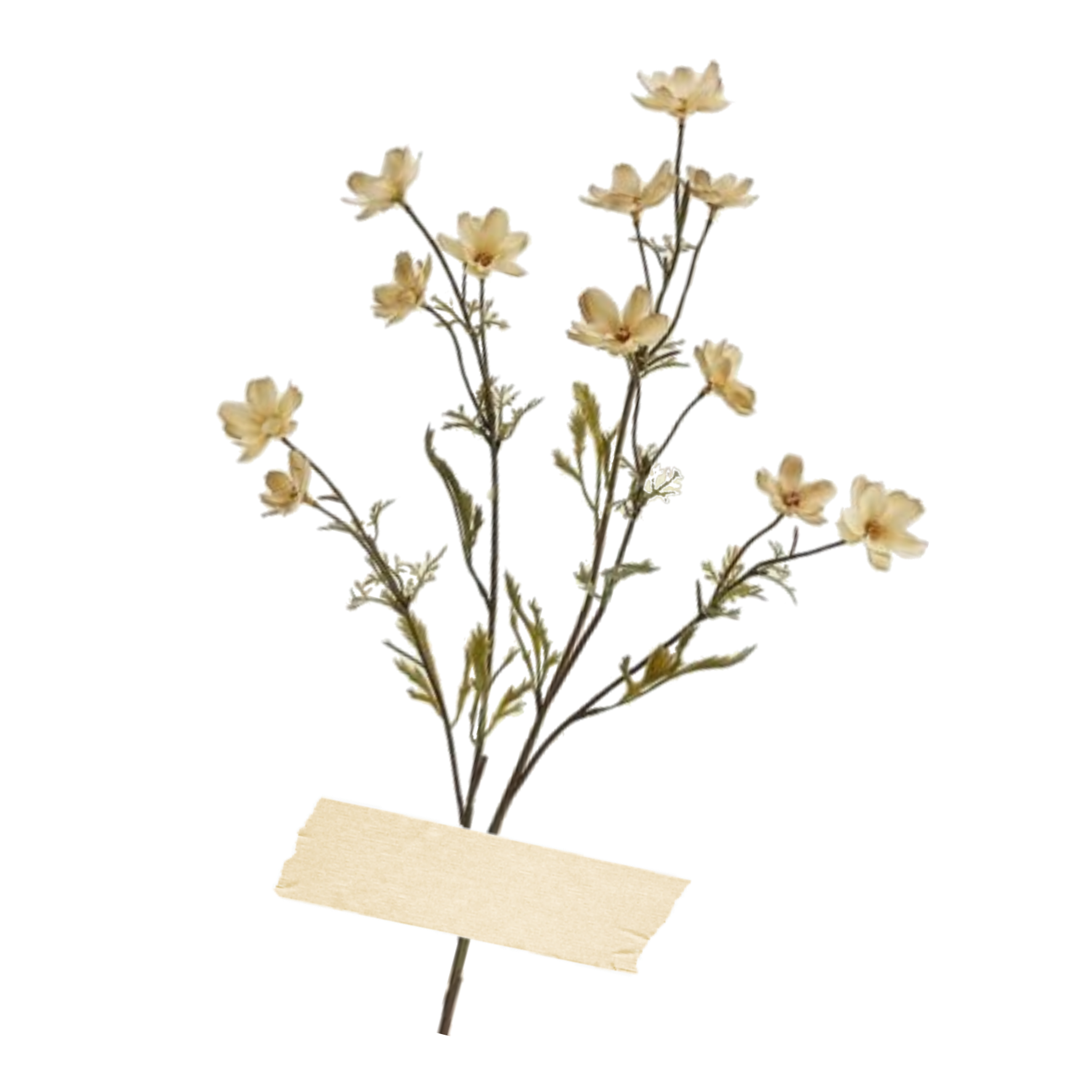 flower asthetic freetoedit sticker by @lucasenunmundodeperr