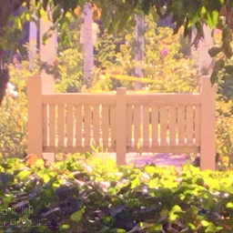 freetoedit remixit quiet park bench background photography california tree softaesthetic pink white