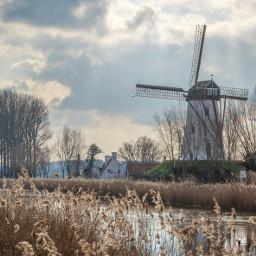photography travel nature landscape charming windmill belgium