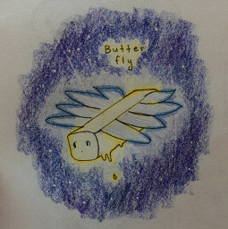 drawing butterfly butter fly