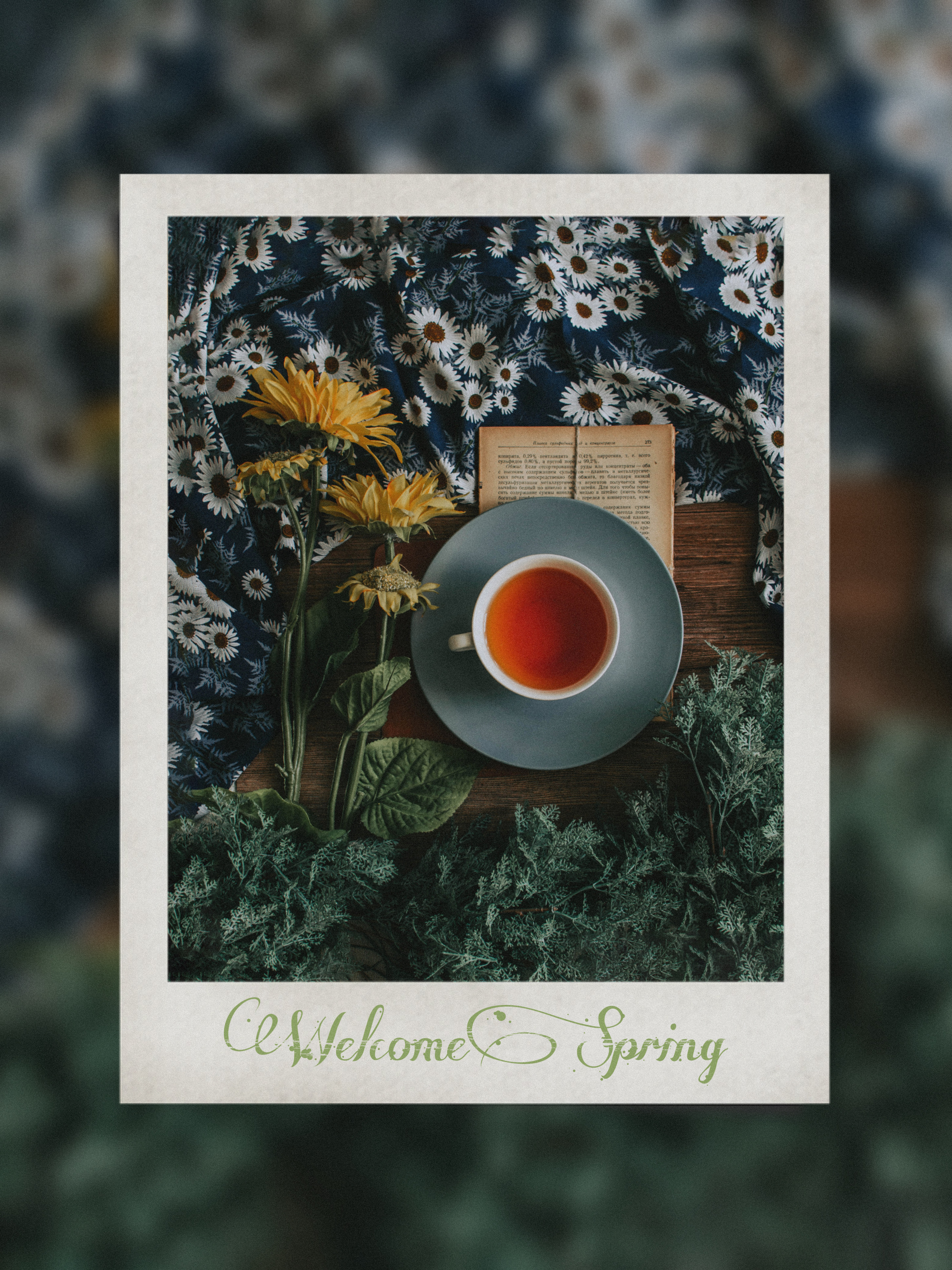 春を切り取る一枚🌼　#spring #flower #cafe #coffee #polaroid #春 #花 #ポラロイド #picsart #picsartedit #madewithpicsart #picsartjapan #はじめてのpicsart 