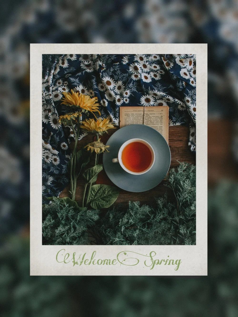 春を切り取る一枚🌼　#spring #flower #cafe #coffee