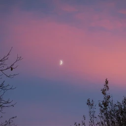 freetoedit moon sunset clouds cloud pcwhathappinessfeelslike