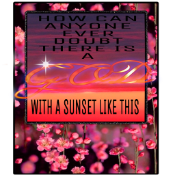 quote sunset flowers colorful freetoedit