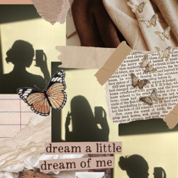 brown beige beigeaesthetic acedemia replay collage butterfly freetoedit