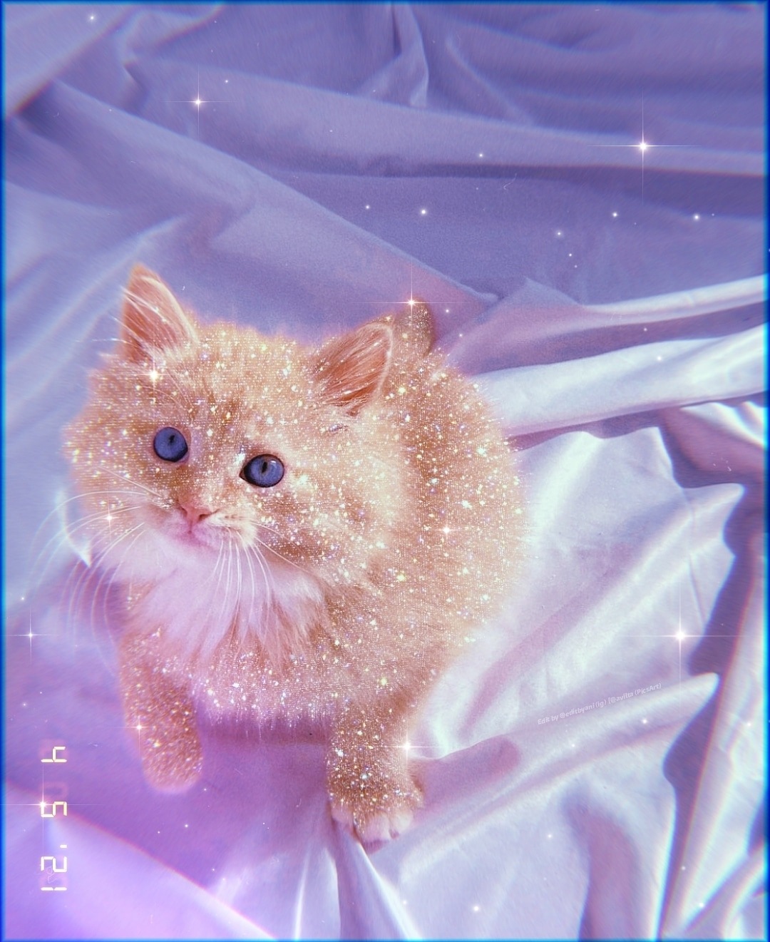 Find more bright photos 355405535022201